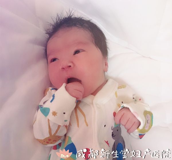 成都妇产医院,成都高水平的产科医院,成都专业的妇产医院,新生堂妇产医院，成都顺产医院，瘢痕子宫顺产医院，母乳喂养高的医院，侧切低的医院