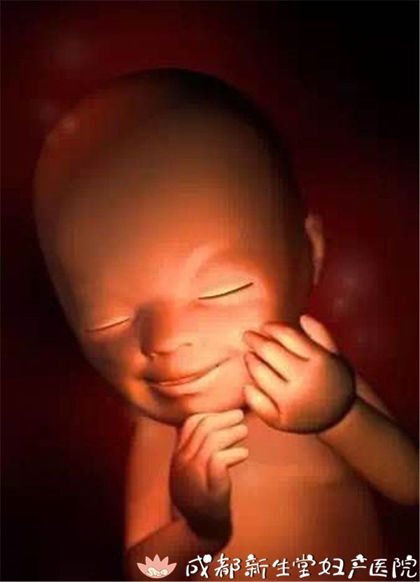 胎儿在妈妈肚子里的生活,可比你想象中的更有趣!