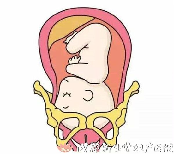 怀孕到达孕晚期之后,孕妈妈们都比较关心胎儿有没有入盆.
