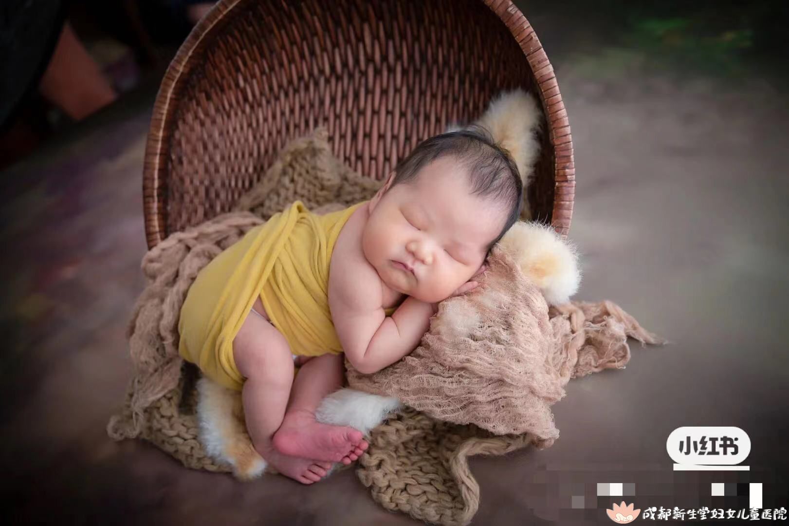 aa9724ae0eadcc270df77d2bc55b7ee.jpg