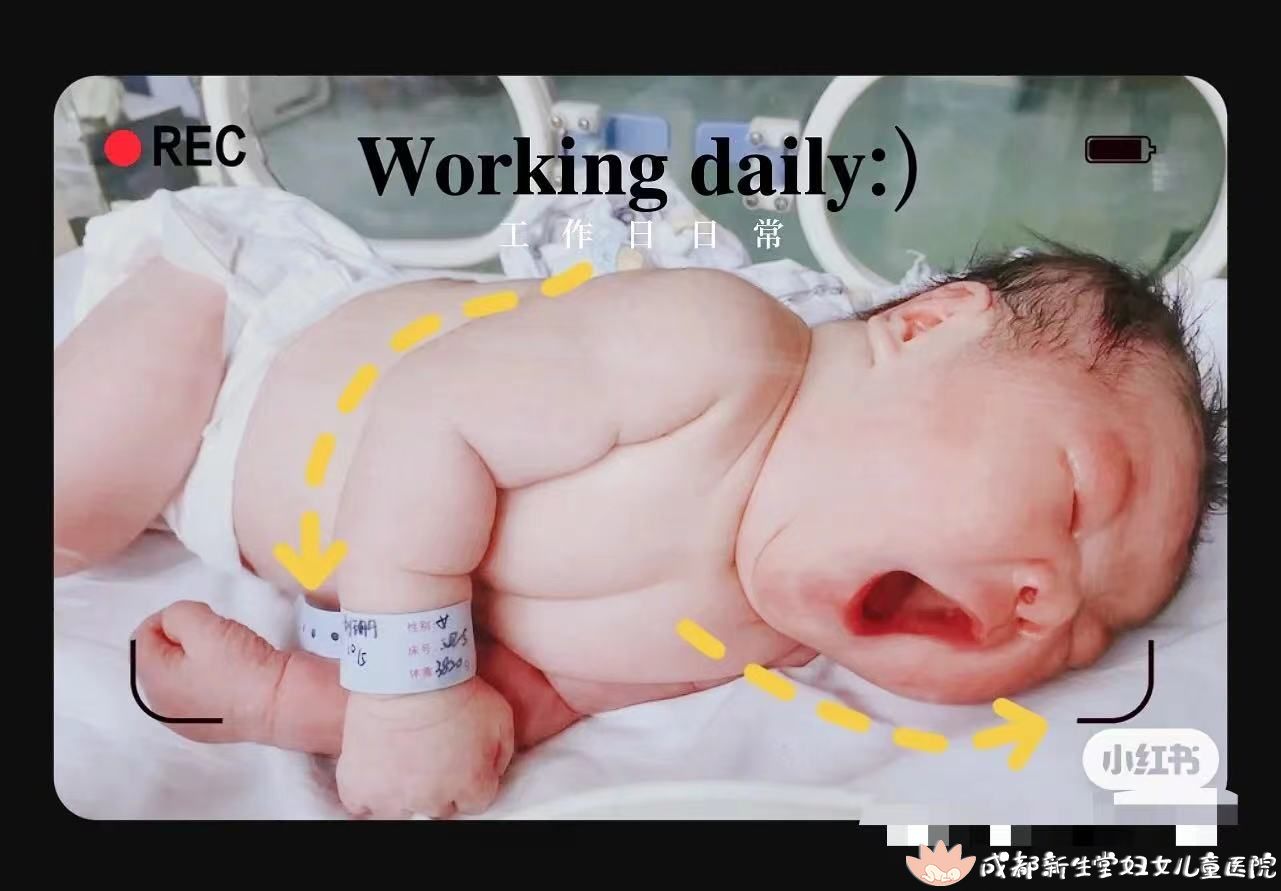 cef878348c11ce3d20ca1c789008e3a.jpg