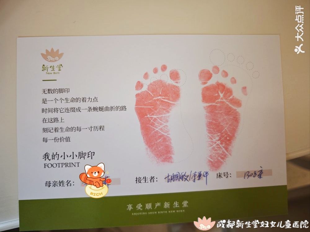 曾菲菲1.jpg
