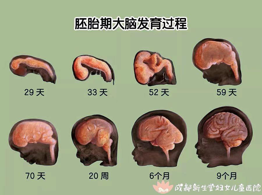 b97475e82fac2f18323cafc4040e312b.jpg