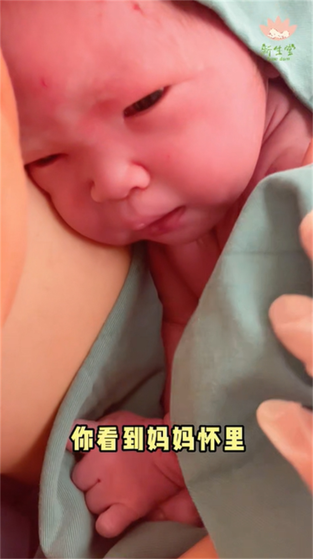 【视频】啼哭的宝宝躺进妈妈怀里，一秒就变乖了-成都新生堂妇女儿童医院,成都妇产医院,成都高水平的妇产医院,成都专业的妇产医院,新生堂妇产医院,成都顺产医院,瘢痕子宫,母乳喂养,侧切