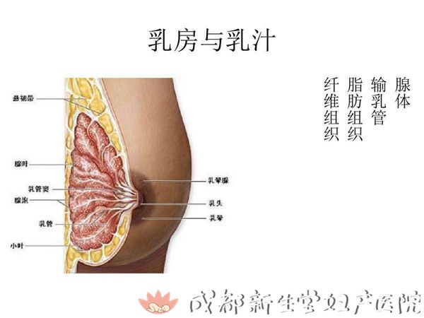 微信图片_20170721112947.jpg