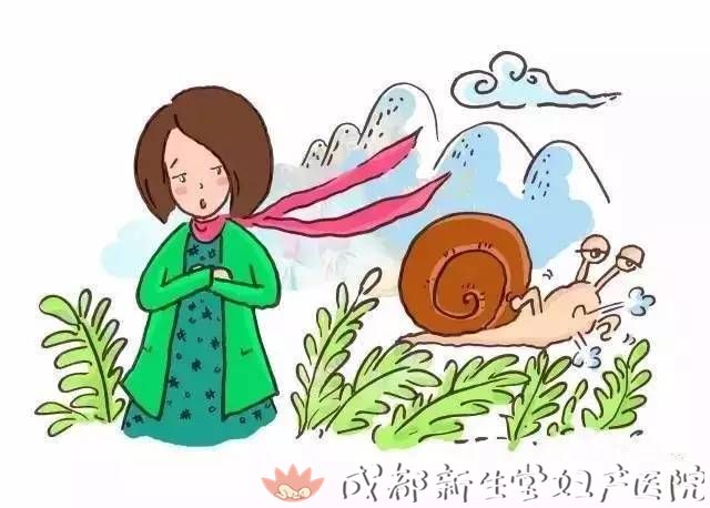当你忍不住对孩子发火,静心读读《牵一只蜗牛去散步》